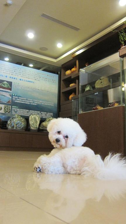 客至軒一館 Kota Hualien Bagian luar foto